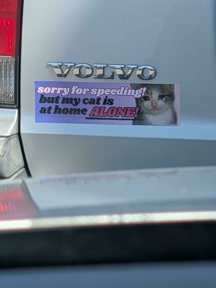 A funny, wild, and unfiltered bumper sticker on a silver Volvo showing a crying cat and reading: Sorry for speeding! But my cat is at home alone!