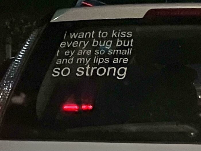 A close-up of a car's rear window featuring a funny bumper sticker about kissing bugs.