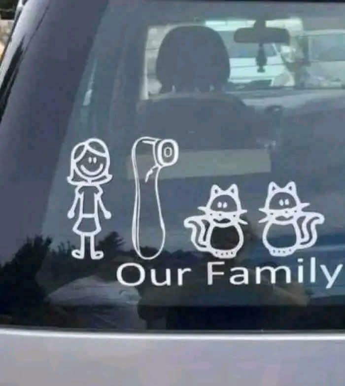 A funny family bumper sticker on a car's rear window, depicting a woman, a toilet paper roll, and two cats.