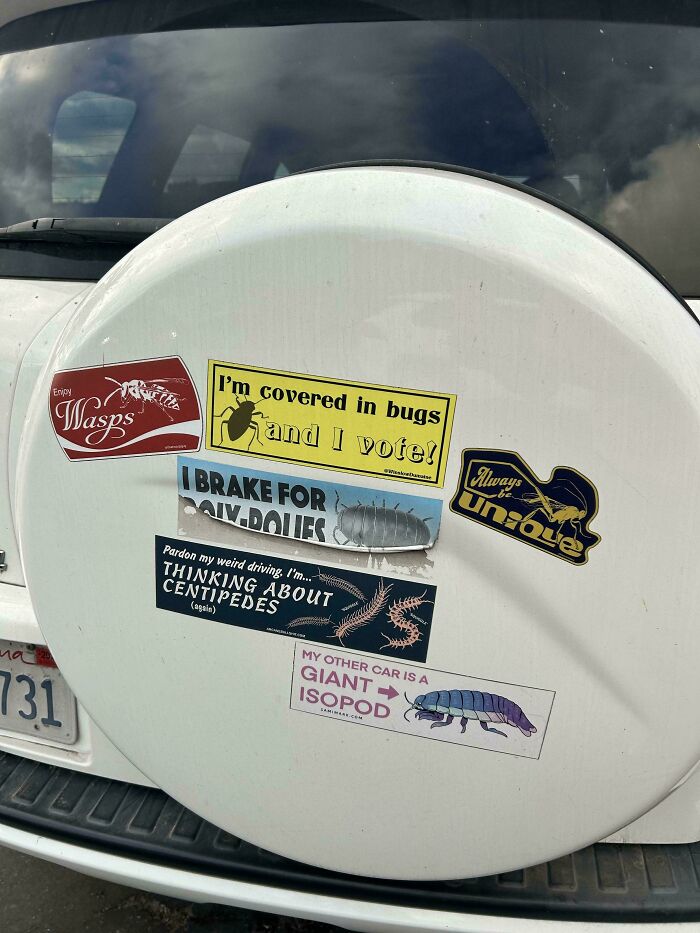 Various funny bumper stickers on a white spare tire cover, including I'm covered in bugs and I vote!