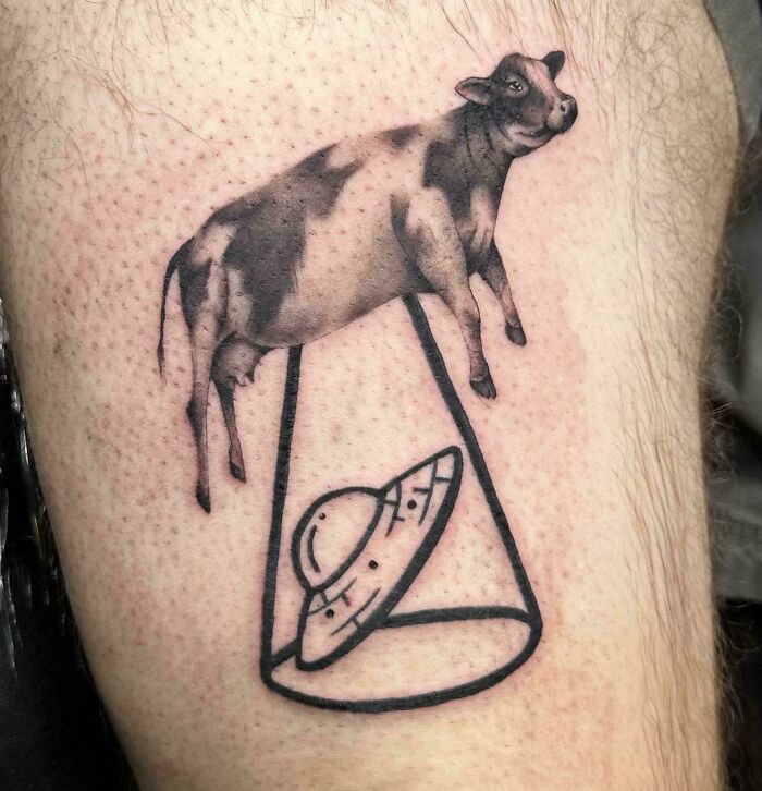 A unique black and white tattoos of a cow being abducted by a UFO, creating a humorous scene. Stunning tattoo.