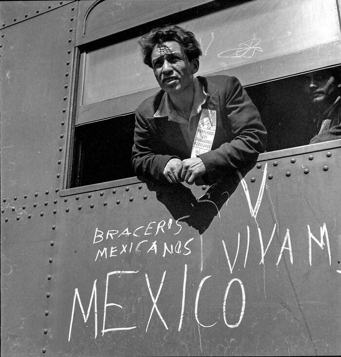 Man leaning out of a train window with braceros mexicanos graffiti depicting real photos from past decades