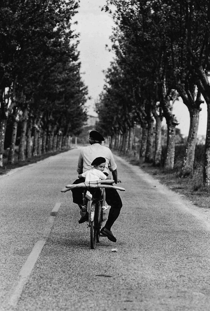 Vintage photo of man and child riding bicycle on tree-lined road in charming past decades