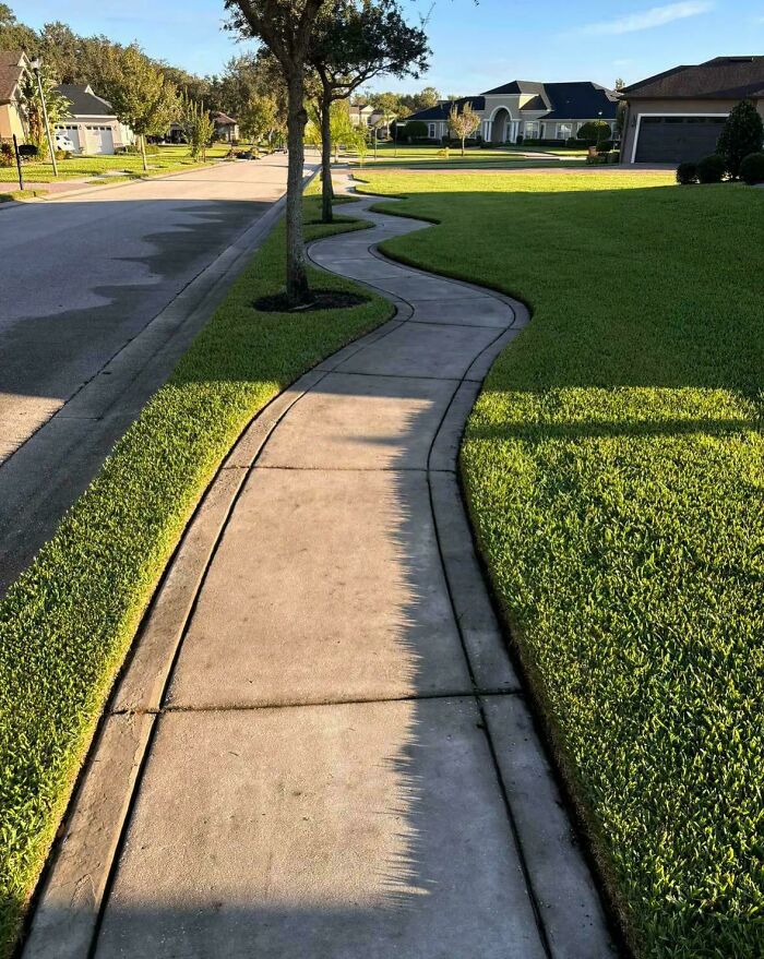 Curvy sidewalk design cutting through green lawn in suburban neighborhood