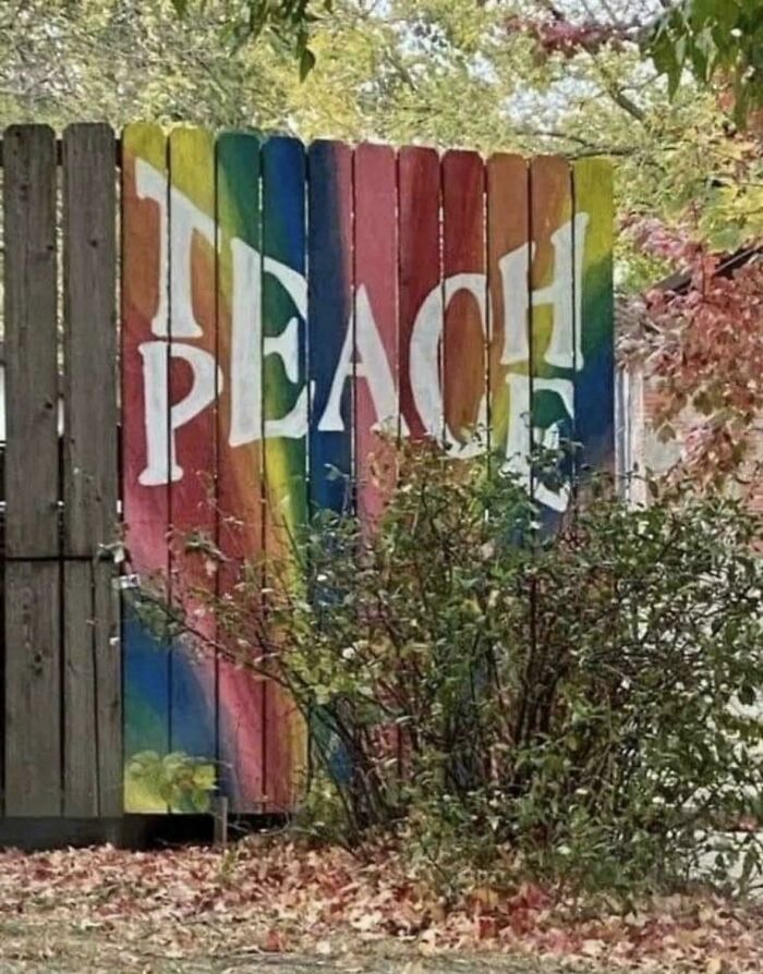 Colorful fence painted with the word peace in bold letters