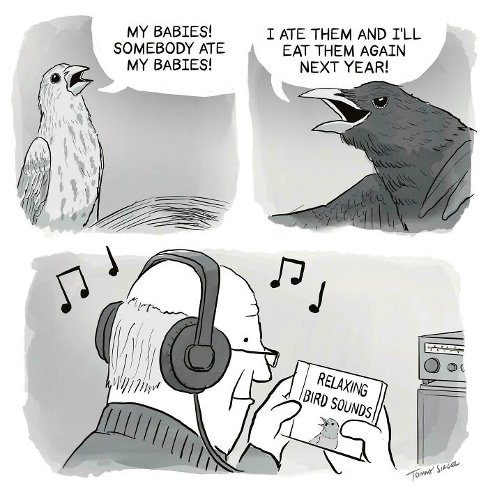A comic showing two birds talking about eating babies, while a man listens to relaxing bird sounds. Entertaining post for boredom at work.