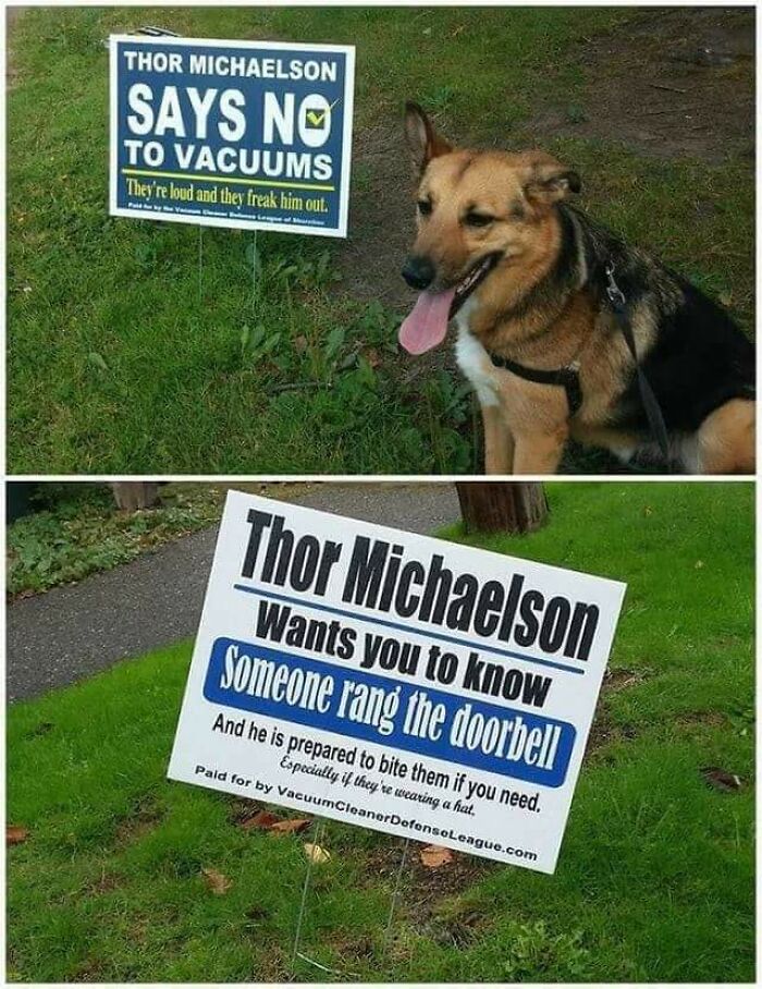 A funny image of a dog with yard signs against vacuums and about doorbells, for miscellaneous posts.
