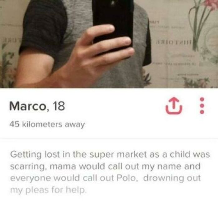 A screenshot of a Tinder profile with a funny bio, part of miscellaneous posts to entertain you at work.
