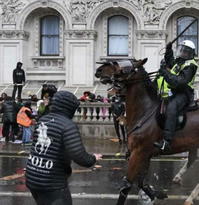 A police officer on horseback confronting a person in a puffer jacket, an intense image from miscellaneous posts.