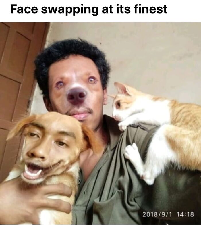A man with a dog's face, holding a dog with a man's face. A cat is on his shoulder. This face swapping post might entertain you when you get bored at work.