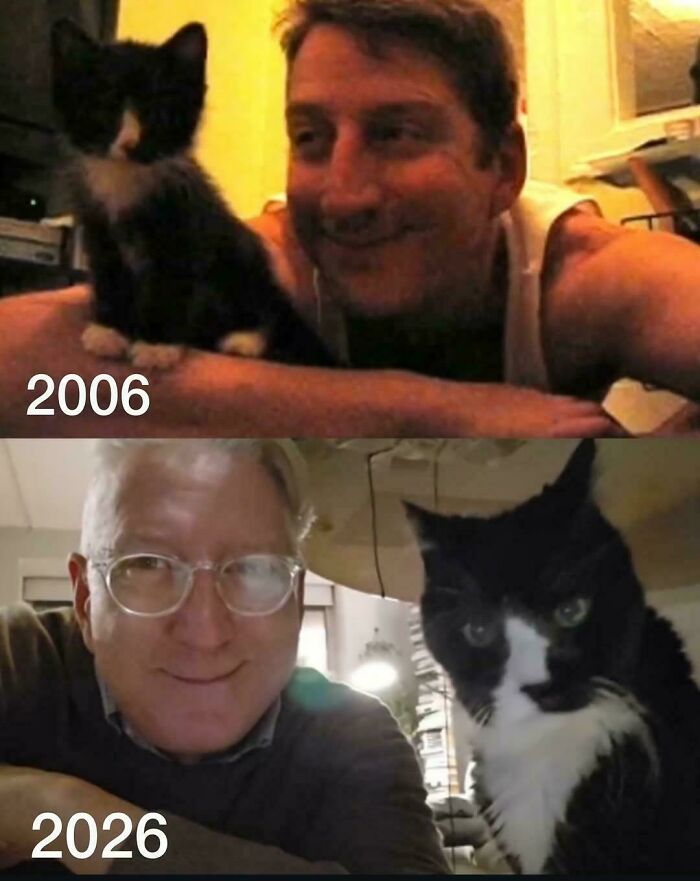 Uplifting posts: A man and his tuxedo cat in 2006, contrasted with a picture of them 20 years later in 2026.