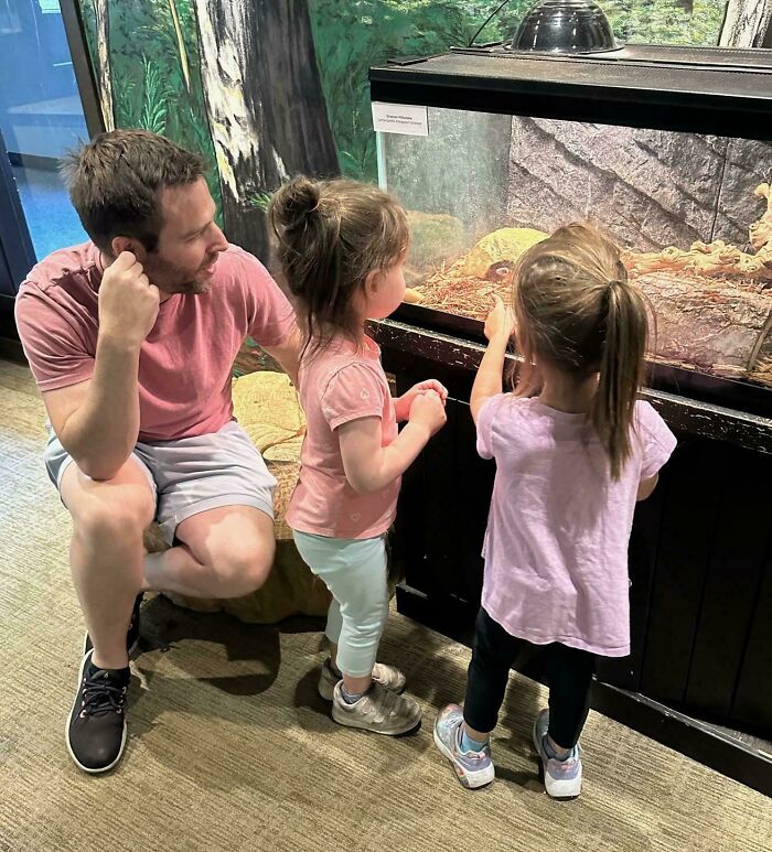 A father and two young girls looking at a turtle in an aquarium, representing families in adoption stories.