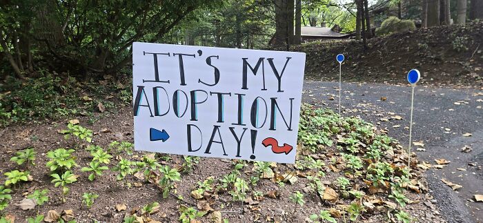 A sign in a leafy setting proudly declares, ITS MY ADOPTION DAY! with arrows, celebrating a special adoption story.