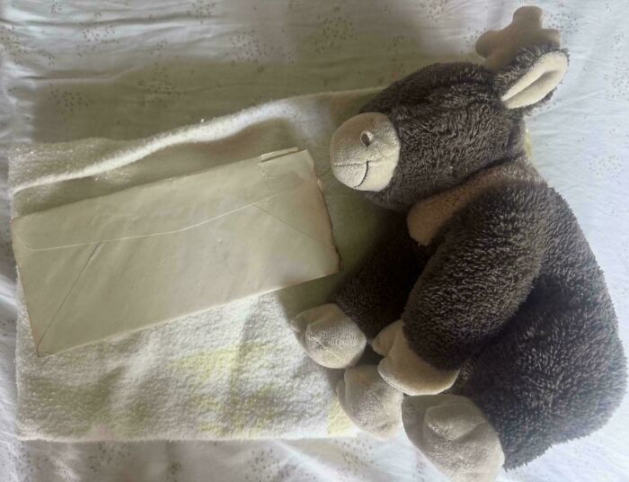 A plush moose rests beside an envelope on a white blanket, symbolizing the journey of adoption stories and chosen families.