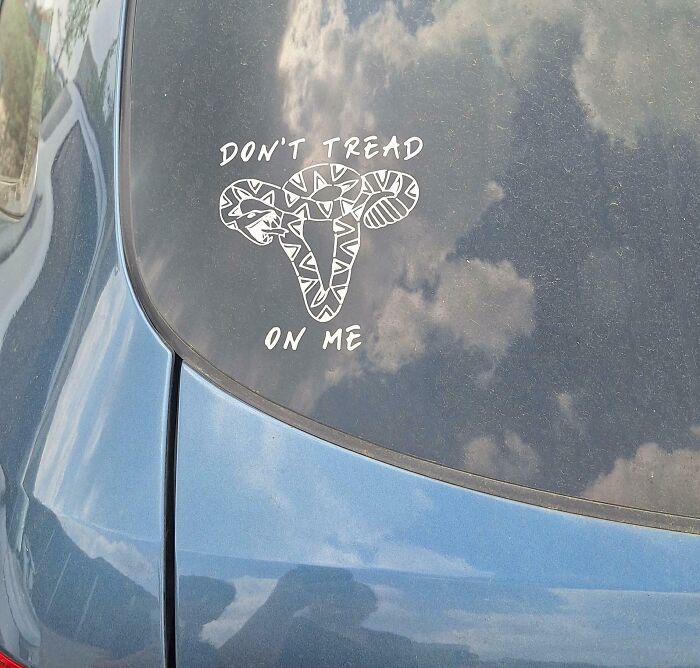 Don't tread on me sticker with a stylized snake on blue car rear window