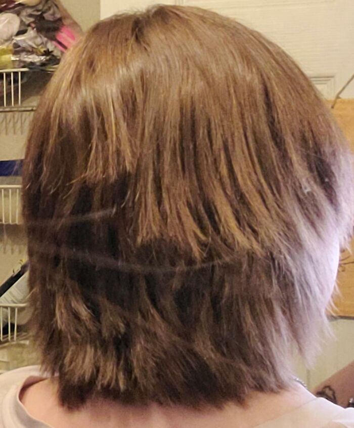 Rear view of a short layered brown hairstyle with a noticeable cut line, a hair salon disaster.