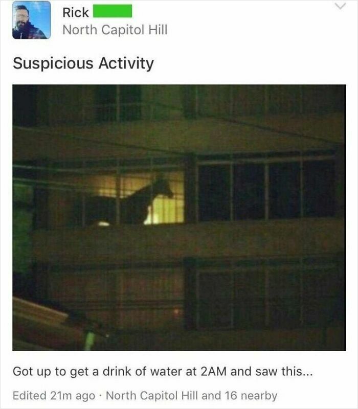 A photo of a horse on a balcony at night, a suspicious activity post that might entertain you at work.