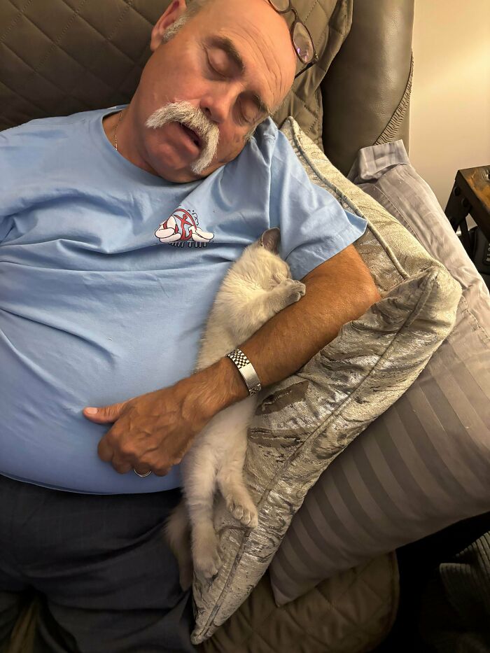 A dad napping on a couch with a kitten sleeping on his arm, portraying amazing fathers and their gentle side.