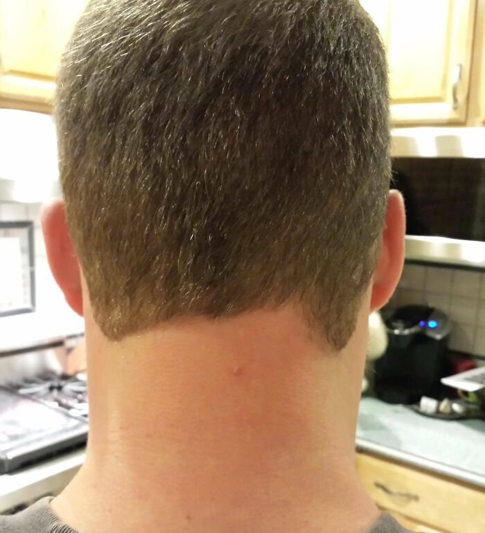 The back of a man's head, revealing a terrible hair salon disaster with an uneven and poorly executed haircut.