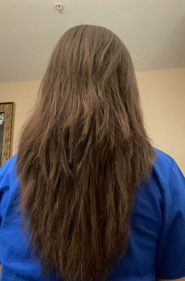 Long brown hair with uneven layers, showing a hair salon disaster.