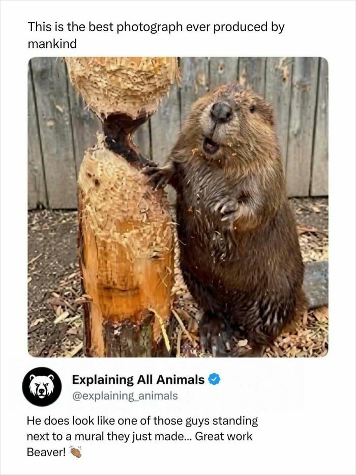 Beaver shown with detailed wood carving beside it outdoors