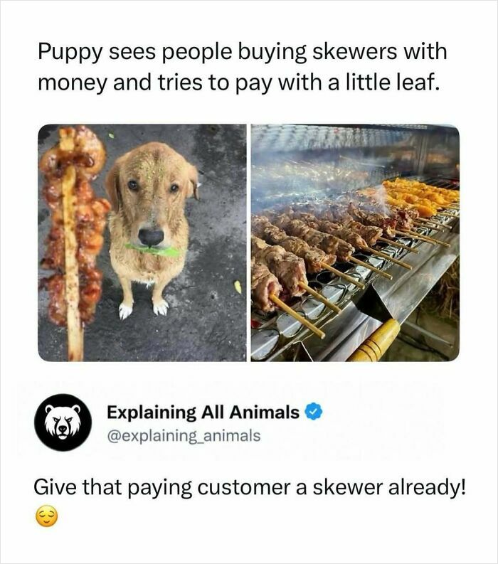 Puppy tries to pay for skewers with a leaf, imitating humans