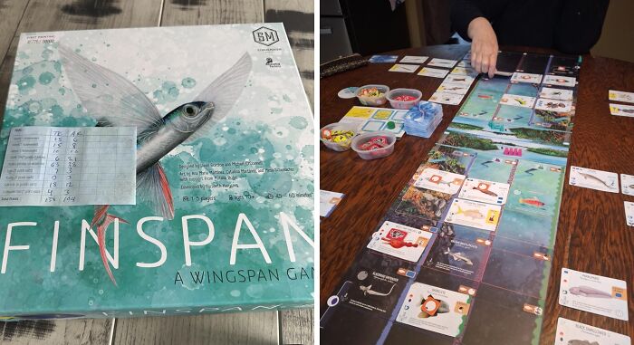 Finspan board game setup on table with cards and game pieces for family fun father's day gift