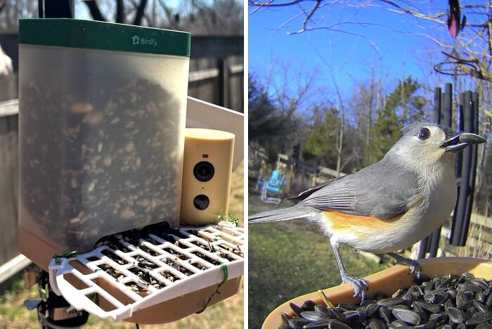 Innovative bird feeder gift idea for Father's Day with seed and camera setup