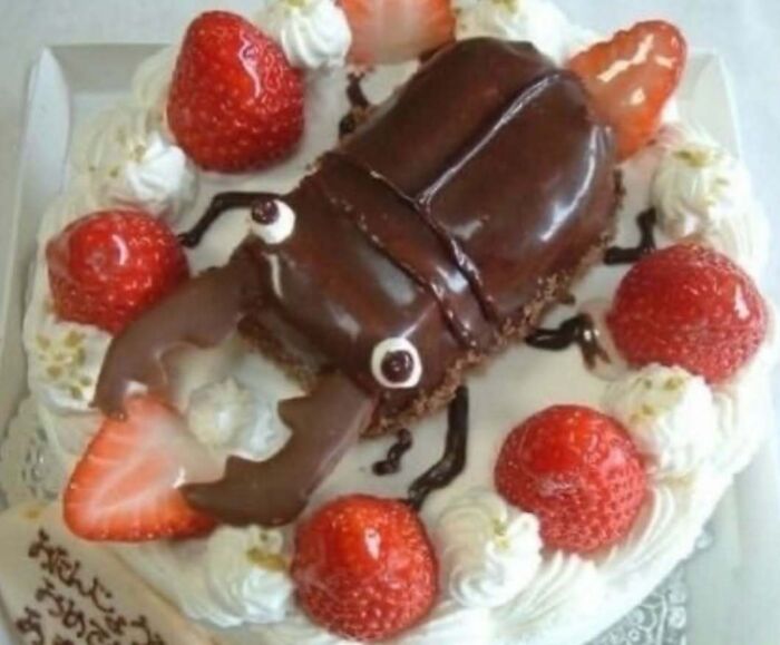 Cursed dessert cake shaped like a large chocolate beetle surrounded by strawberries and cream