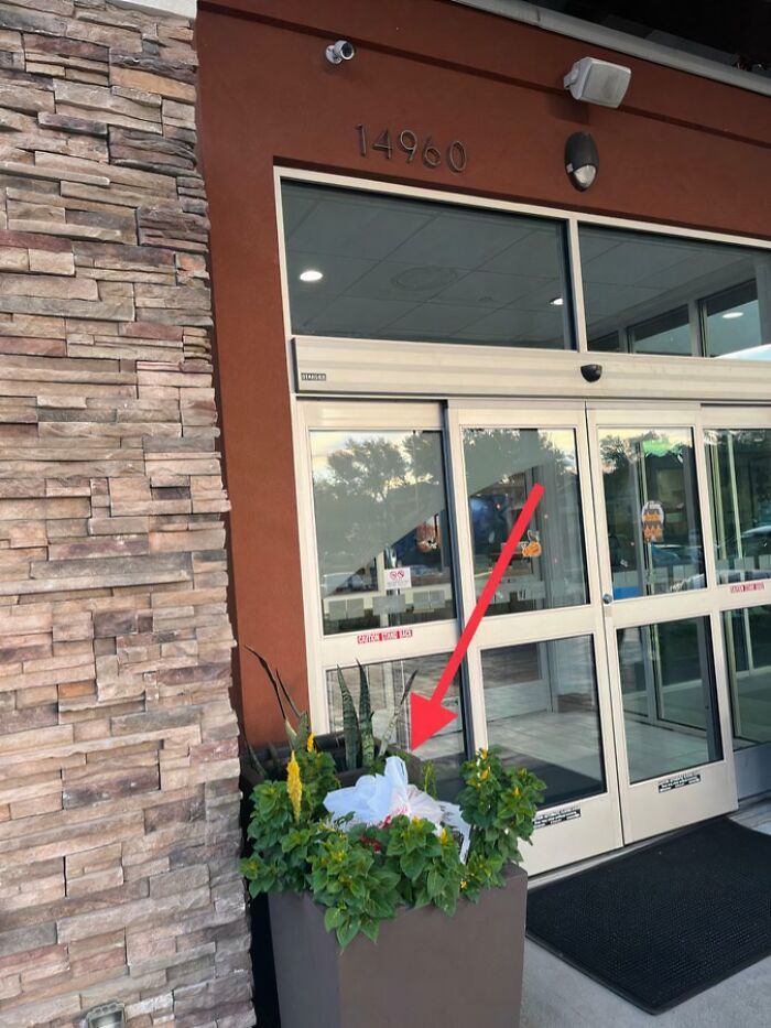 A food delivery bag left in a planter outside a building, highlighting a food delivery fail.