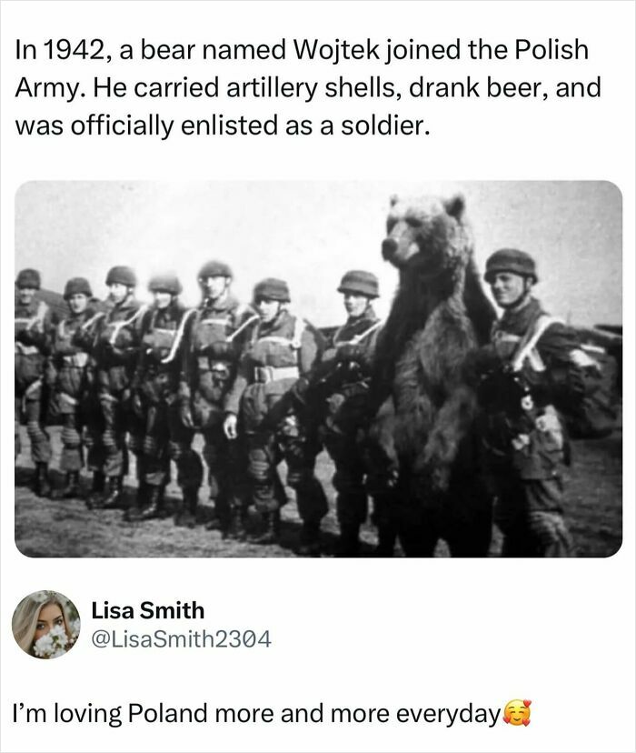 Black and white photo of a bear named Wojtek with Polish soldiers, showing an unusual history of wars.