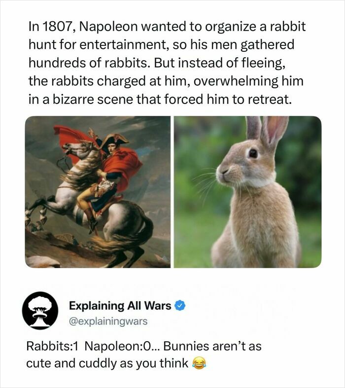 A painting of Napoleon on horseback and a rabbit, an unusual historical event explaining all wars.