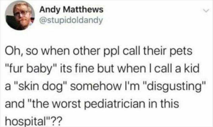 A tweet by Andy Matthews comparing fur babies to skin dogs, a funny miscellaneous post to entertain you at work.