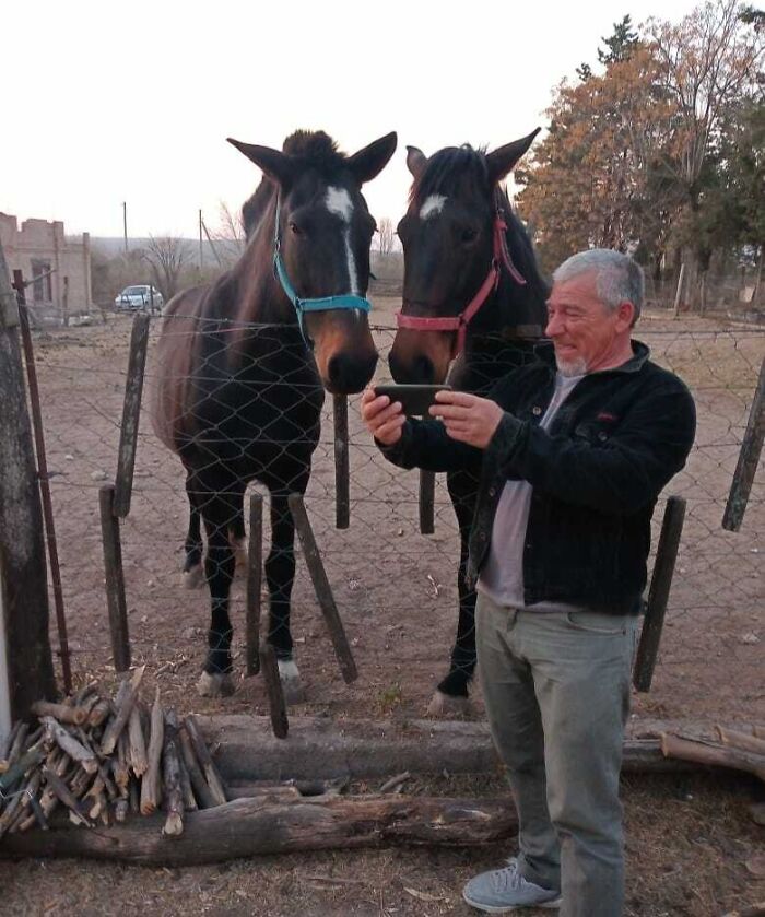 An amazing father takes a selfie with two horses, showcasing the joy of being a parent and dad.