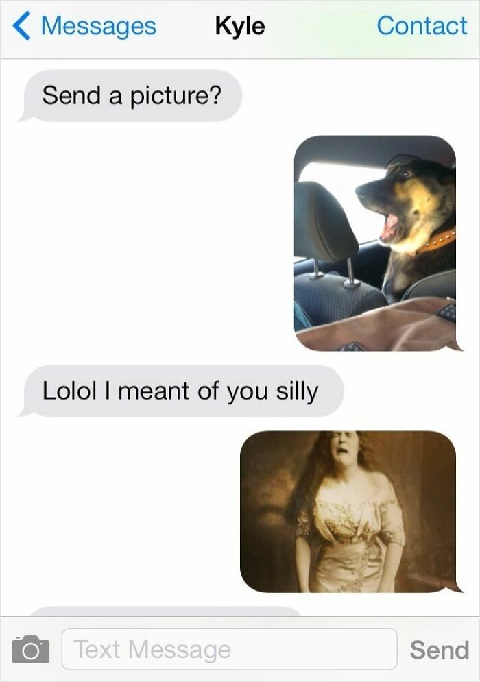 A woman sends pictures of a dog and a scary face in response to a picture request, showcasing epic comebacks.