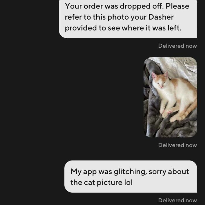 A chat message shows a photo of a cat instead of a delivered order, illustrating food delivery fails.