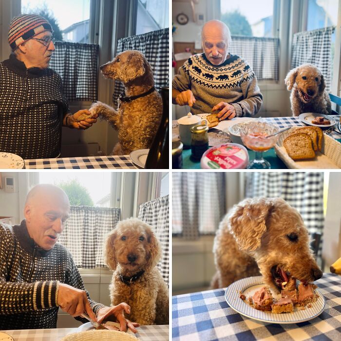 Four images showing a dad and his dog sharing meals, capturing moments of amazing fathers and companionship.