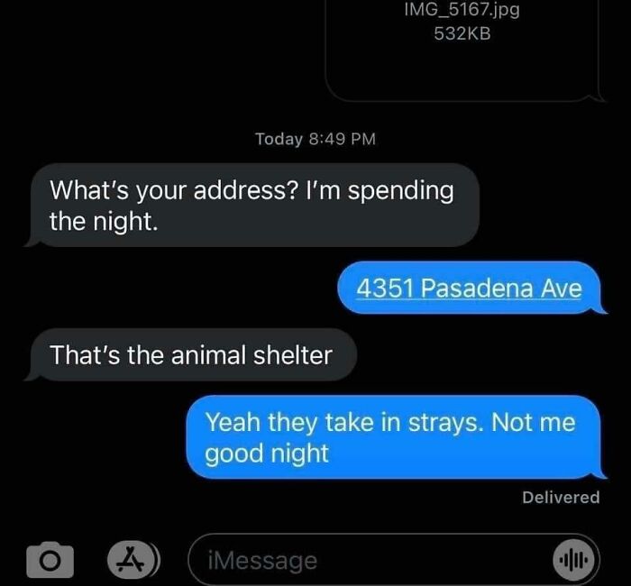 A screenshot displaying an epic comeback from women, where a woman cleverly tells a man he belongs at an animal shelter.