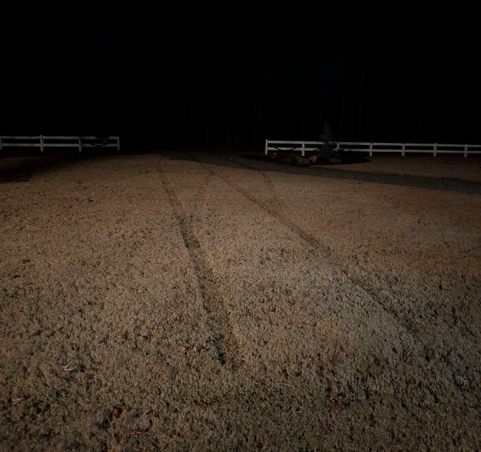 A dark image showing tire tracks on a grassy path leading to a fence, highlighting food delivery fails.