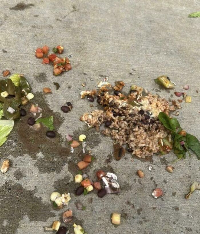 Funny food delivery fails: a pile of spilled food, including rice, beans, and vegetables, on a concrete surface.