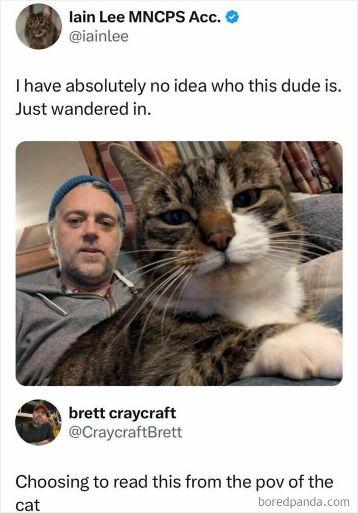 Man with cat selfie showing perspective from the cat in wholesome internet pics