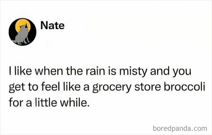 Humorous text meme about feeling like grocery store broccoli in misty rain