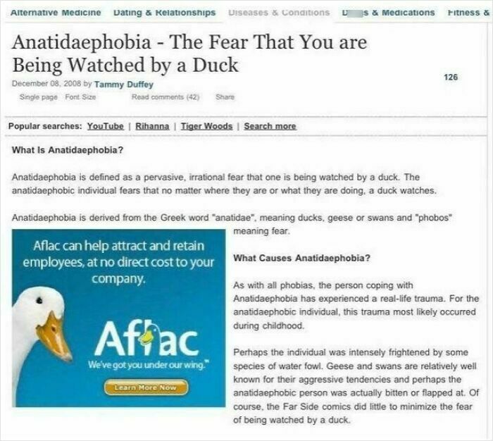 Article about the fear of being watched by a duck, anatidaphobia phobia