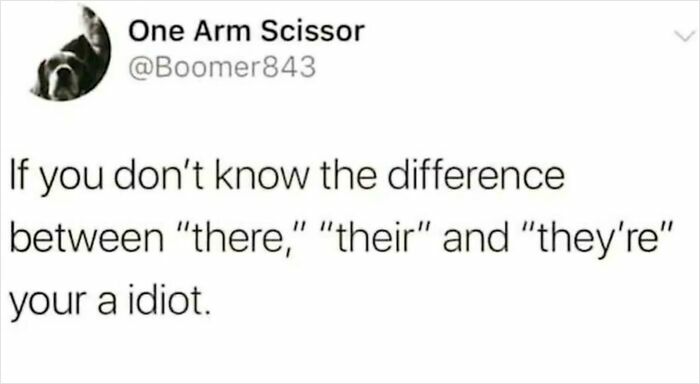 Social media post mocking grammar mistake while calling others idiots