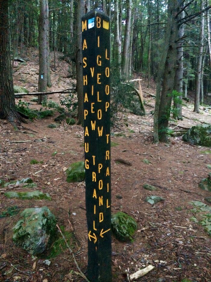 A tall black signpost with yellow lettering, spelling out a trail name vertically, one of many funny signs.