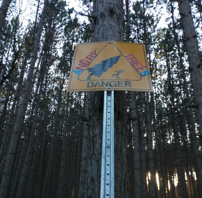 A triangular yellow DANGER sign with black angry trees and a running person, one of many funny signs.