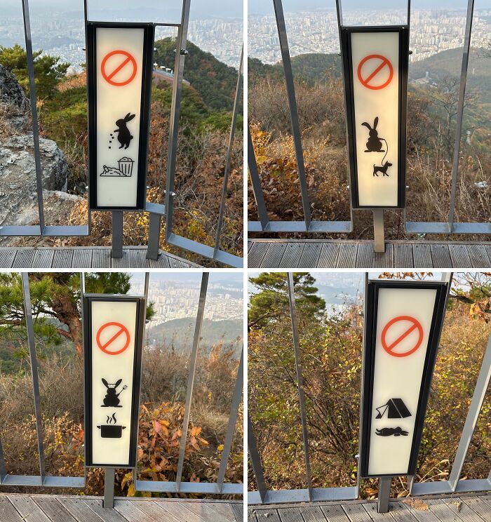 A collage of four funny signs with red circles and slashes, showing forbidden rabbit activities in the wild.