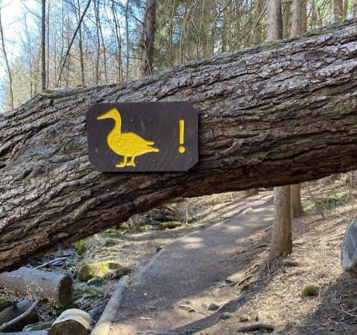 A funny sign with a yellow duck and an exclamation mark, nailed to a fallen tree over a path in the wild.