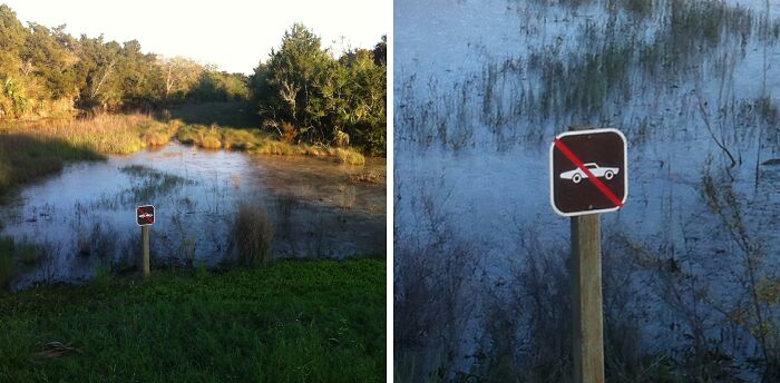 A funny sign in a swamp, prohibiting cars in the marshland, highlighting a humorous placement for the rule in the wild.