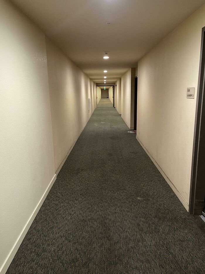 A long, unsettling liminal space of a dimly lit, empty hallway in a building, with doors lining the walls.
